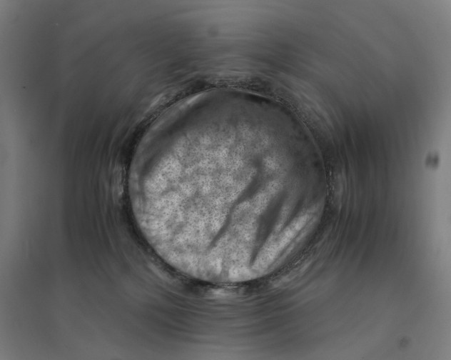 X0000094450232200712061207