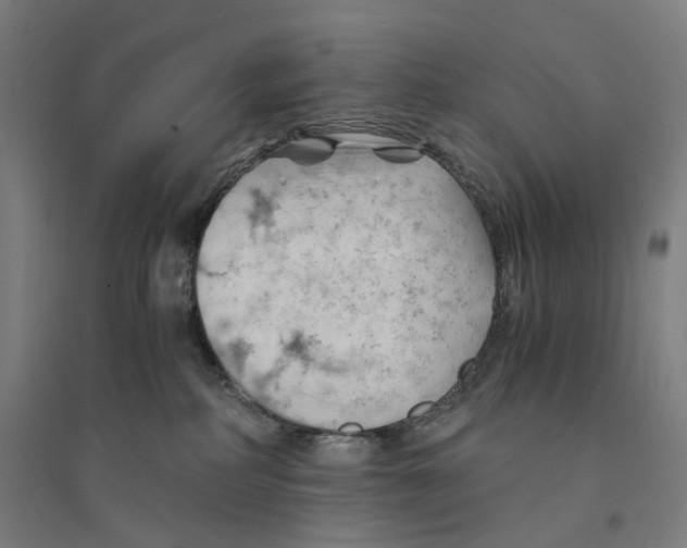 X0000094450234200712061207