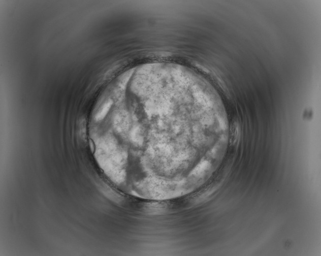 X0000094450238200712061207