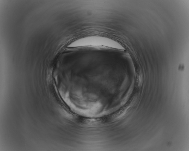 X0000094450239200712061207