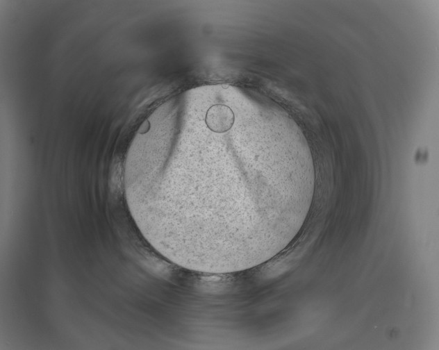 X0000094450240200712061207