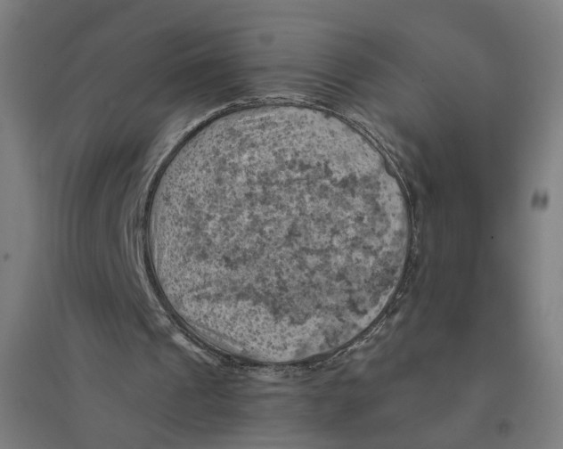 X0000094450241200712061206