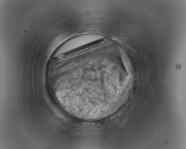 X0000094450242200712061206