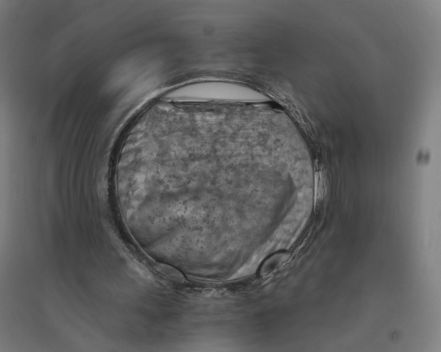 X0000094450243200712061206