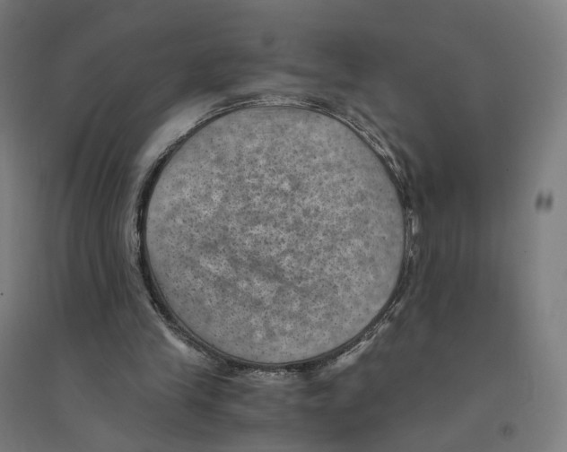 X0000094450245200712061206