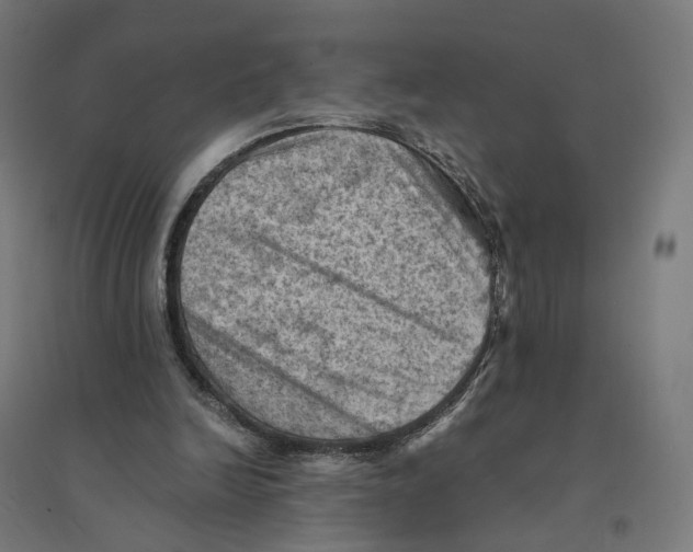 X0000094450246200712061206