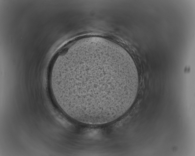 X0000094450247200712061206