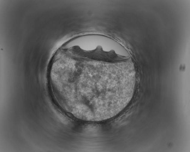 X0000094450248200712061206