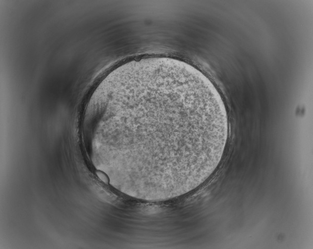 X0000094450249200712061206