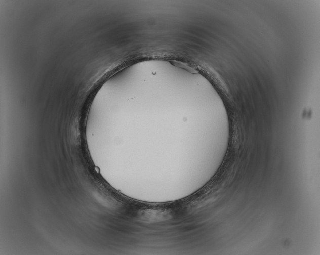 X0000094450251200712061206