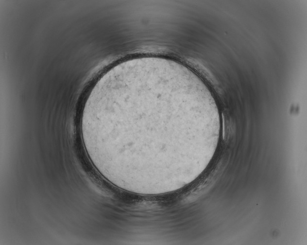 X0000094450252200712061206