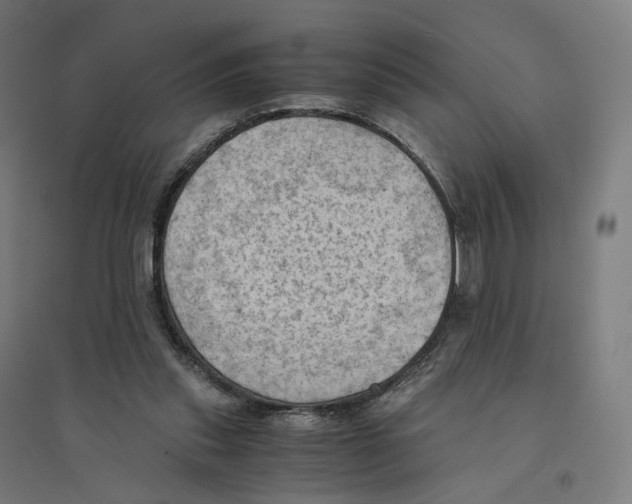 X0000094450253200712061207