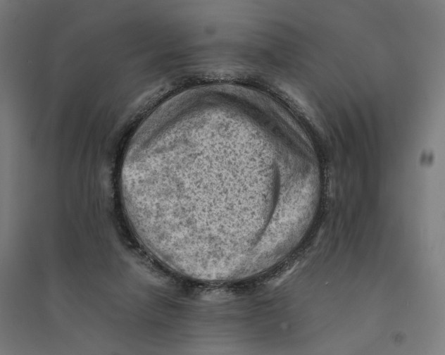 X0000094450258200712061207