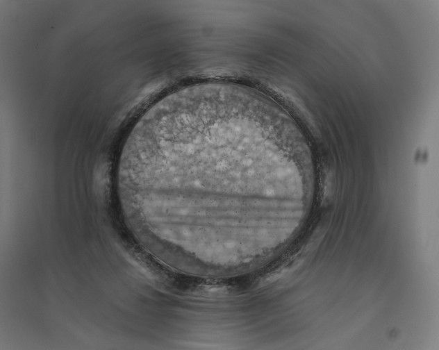 X0000094450260200712061207