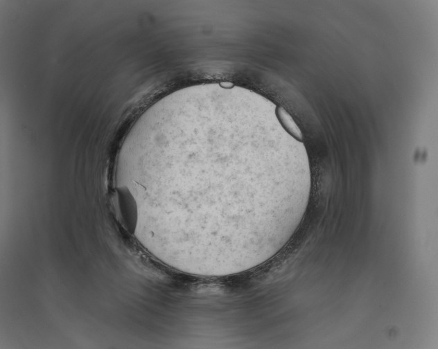 X0000094450262200712061207