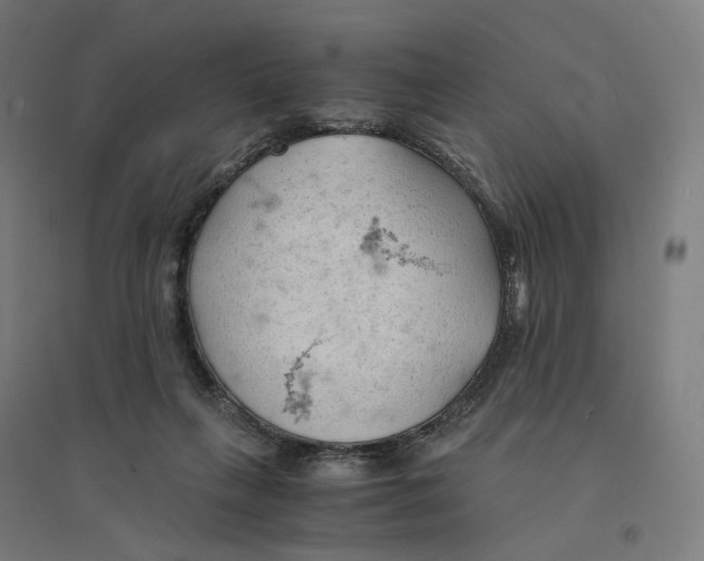 X0000094450263200712061207