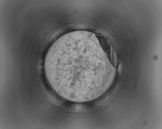 X0000094450264200712061207