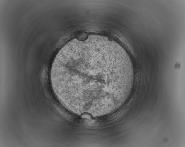 X0000094450265200712061207