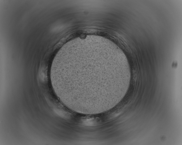 X0000094450267200712061207