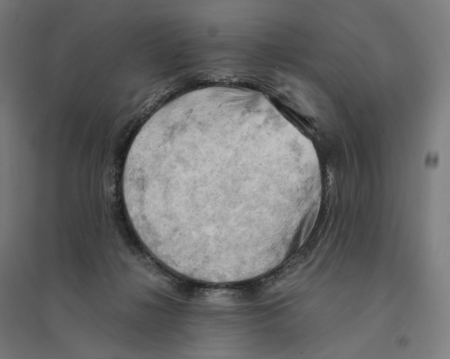 X0000094450268200712061207