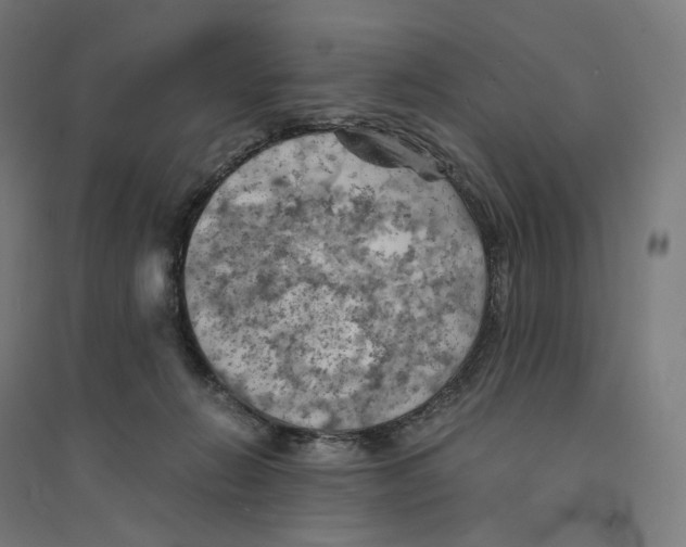 X0000094450270200712061207