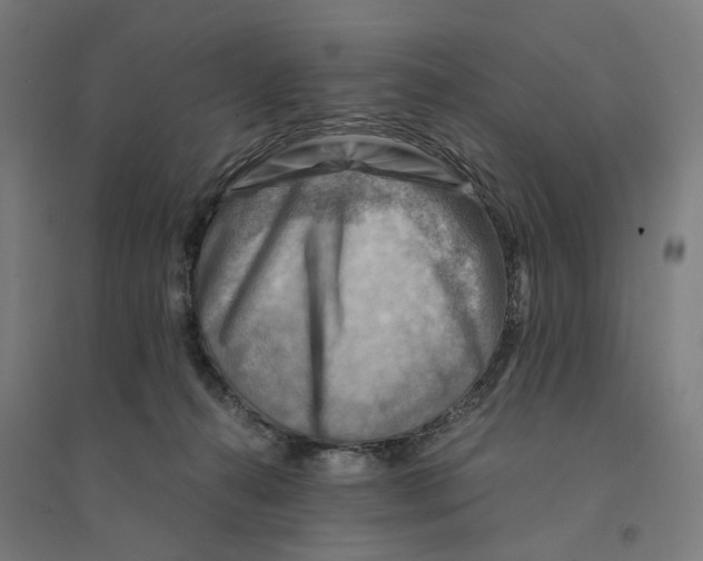 X0000094450272200712061207