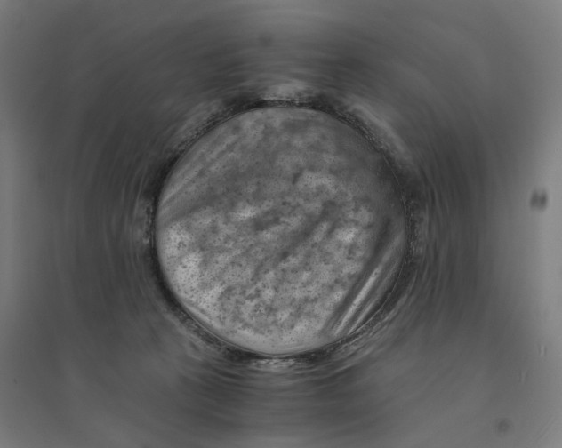 X0000094450273200712061207