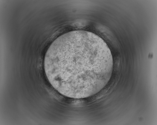 X0000094450274200712061207