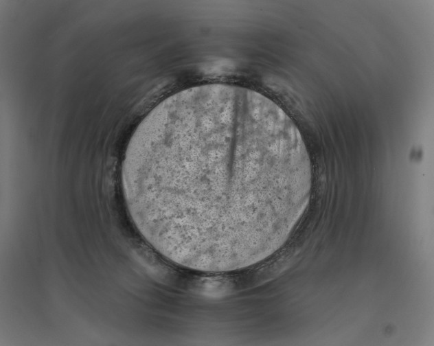 X0000094450275200712061207