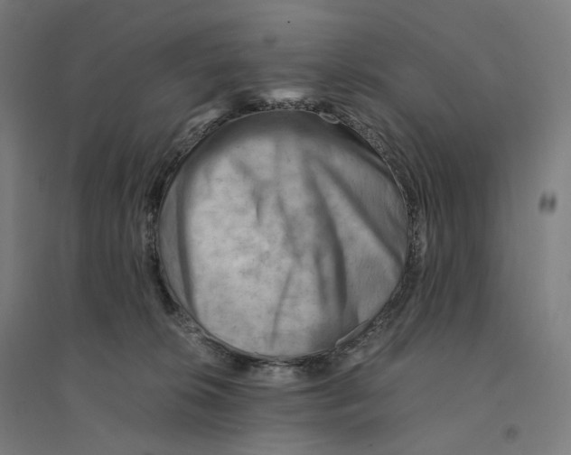 X0000094450276200712061207