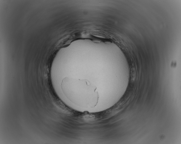 X0000094450279200712061207