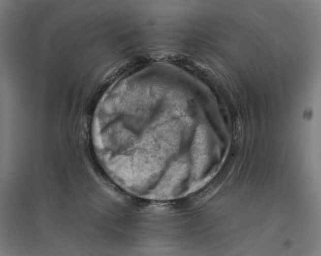 X0000094450280200712061207