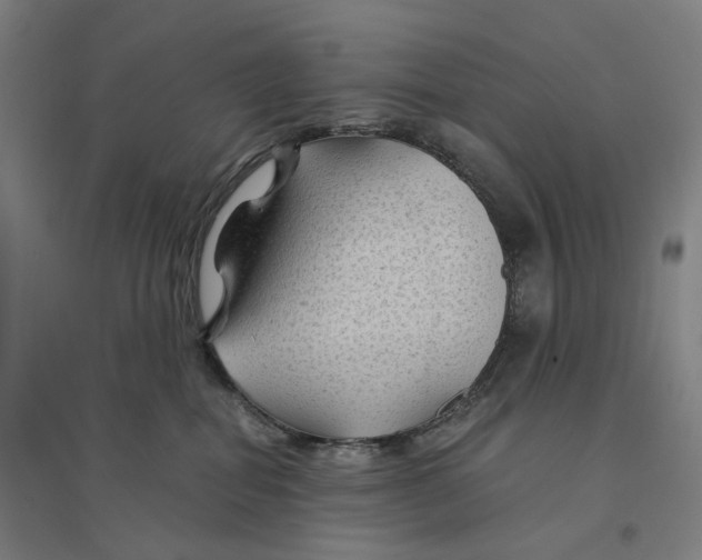 X0000094450282200712061207