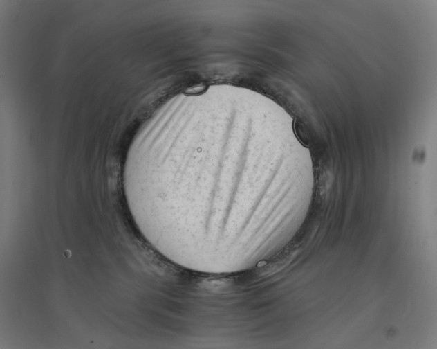 X0000094450283200712061207