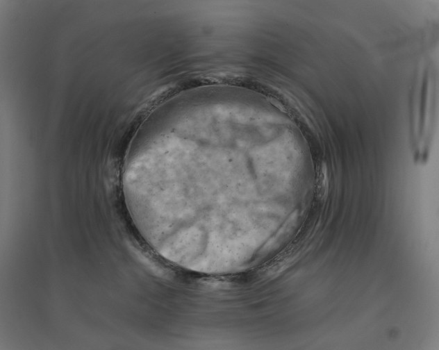 X0000094450284200712061207