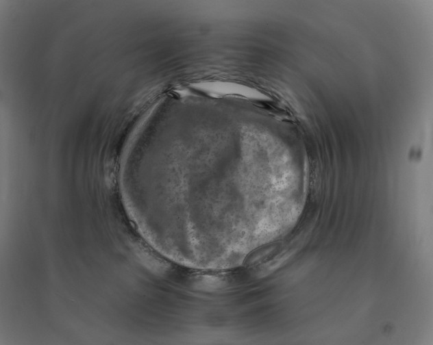 X0000094450285200712061207