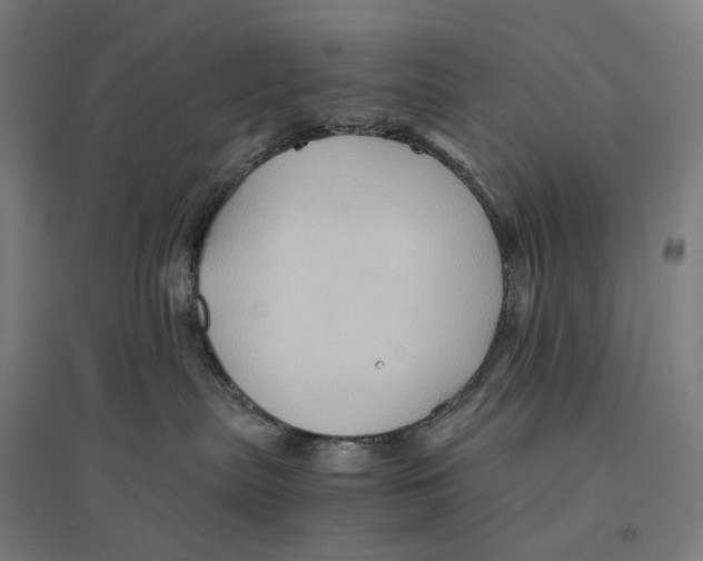 X0000094450287200712061207