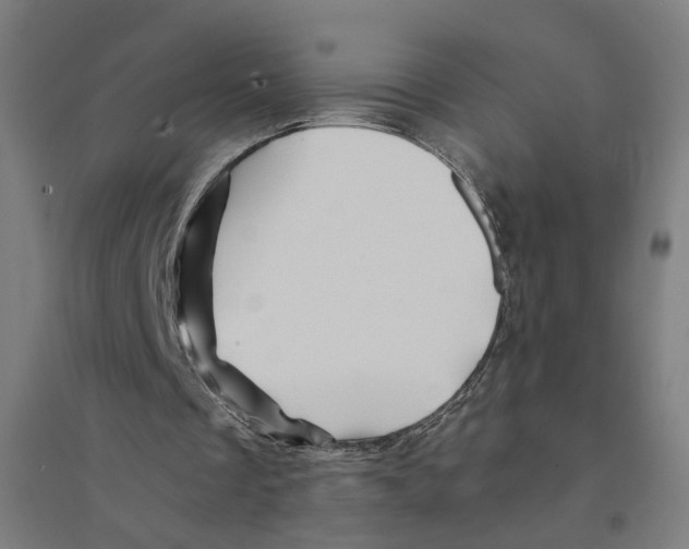 X0000094450289200712061206