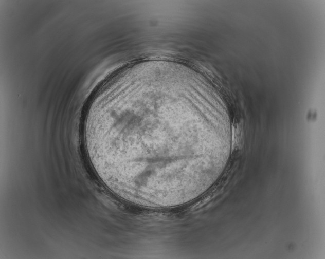 X0000094450291200712061206