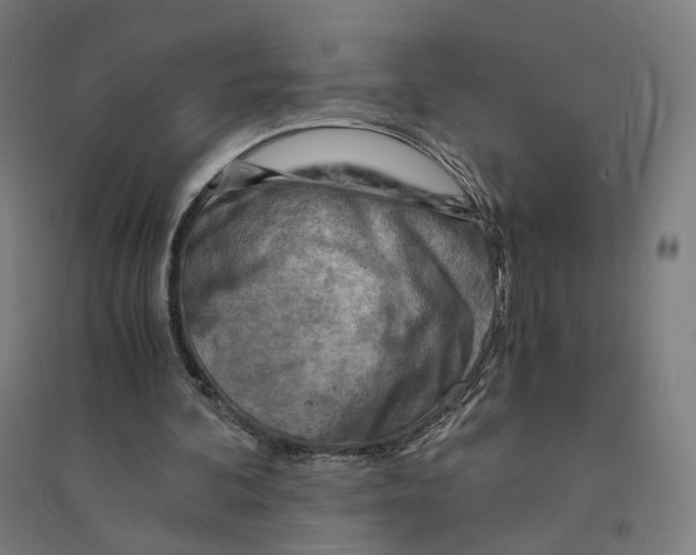 X0000094450292200712061206