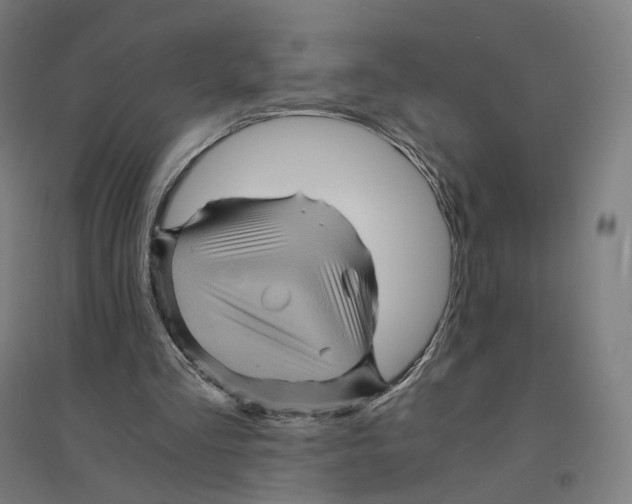 X0000094450293200712061206