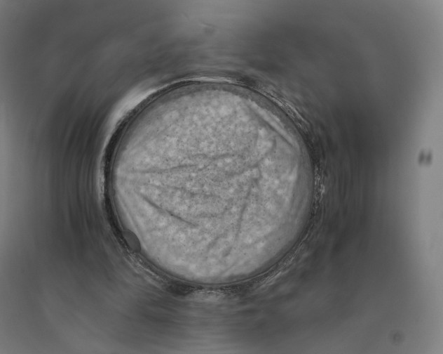 X0000094450294200712061206