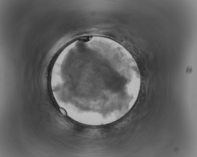 X0000094450295200712061206