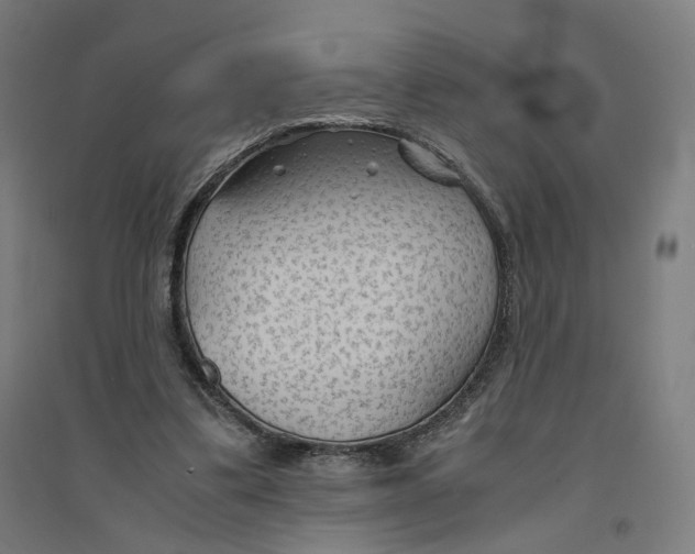 X0000094450299200712061206