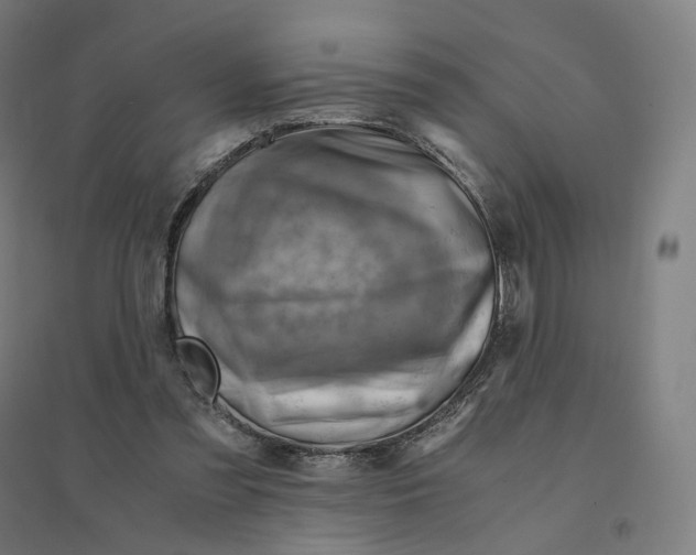 X0000094450301200712061206