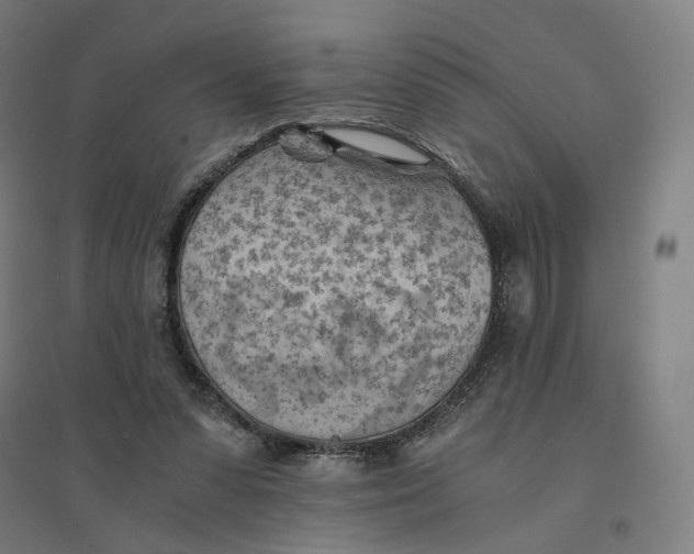 X0000094450303200712061206