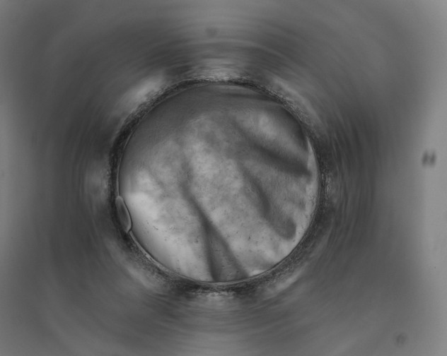 X0000094450304200712061206