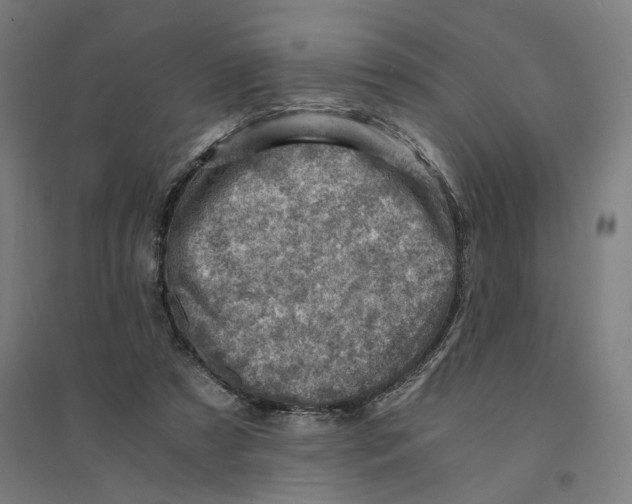 X0000094450305200712061206