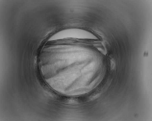 X0000094450308200712061206