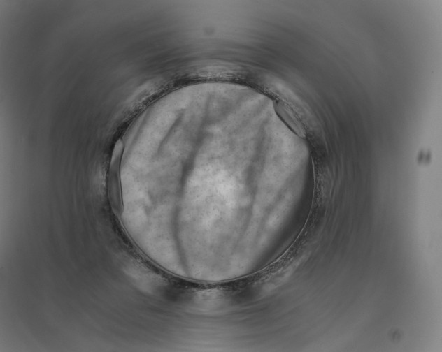 X0000094450309200712061206